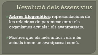  Arbres filogenètics: representacions de
 les relacions de parentesc entre els
 organismes actuals i els avantpassats.

 Mostres que els més antics i els més
 actuals tenen un avantpassat comú.
 