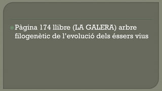  Pàgina174 llibre (LA GALERA) arbre
 filogenètic de l’evolució dels éssers vius
 