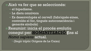  Això va fer que se seleccionés:
  • el bipedisme.
  • La dieta omnívora
  • Es desenvolupés el cervell (fabriqués eines,
    controlés el foc, tingués autoconsciència i
    generés símbols)
 Resumint: inicia
                el procés evolutiu
 conegut per HOMINITZACIÓ fins al
 Homo sapiens actual.
     (llegir tríptic Orígens de La Caixa)
 