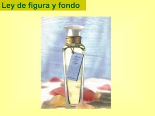 Ley de figura y fondo 