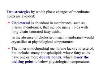 Two strategies by which phase changes of membrane
lipids are avoided:
 Cholesterol is abundant in membranes, such as
plasma membranes, that include many lipids with
long-chain saturated fatty acids.
In the absence of cholesterol, such membranes would
crystallize at physiological temperatures.
 The inner mitochondrial membrane lacks cholesterol,
but includes many phospholipids whose fatty acids
have one or more double bonds, which lower the
melting point to below physiological temperature.
 