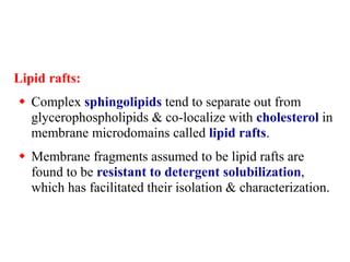 Lipid rafts:
 Complex sphingolipids tend to separate out from
glycerophospholipids & co-localize with cholesterol in
membrane microdomains called lipid rafts.
 Membrane fragments assumed to be lipid rafts are
found to be resistant to detergent solubilization,
which has facilitated their isolation & characterization.
 