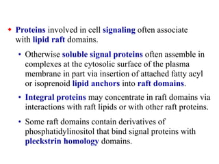  Proteins involved in cell signaling often associate
with lipid raft domains.
• Otherwise soluble signal proteins often assemble in
complexes at the cytosolic surface of the plasma
membrane in part via insertion of attached fatty acyl
or isoprenoid lipid anchors into raft domains.
• Integral proteins may concentrate in raft domains via
interactions with raft lipids or with other raft proteins.
• Some raft domains contain derivatives of
phosphatidylinositol that bind signal proteins with
pleckstrin homology domains.
 