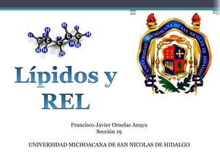 Francisco Javier Ornelas Anaya
                      Sección 19

UNIVERSIDAD MICHOACANA DE SAN NICOLAS DE HIDALGO
 