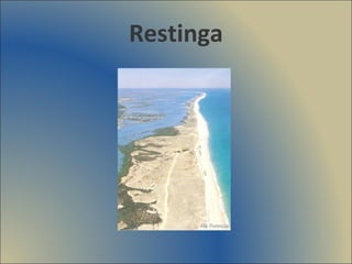 Restinga 
