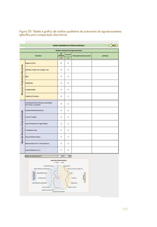 163
Figura 20: Tabela e gráfico de análise qualitativa da autonomia do agroecossistema
(planilha para comparação diacrônica)
 