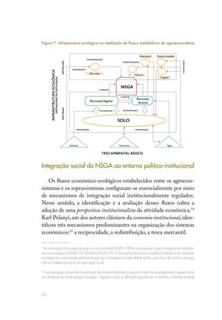 56
Integração social do NSGA ao entorno político-institucional
Os fluxos econômico-ecológicos estabelecidos entre os agroecos-
sistemas e os suprassistemas configuram-se essencialmente por meio
de mecanismos de integração social institucionalmente regulados.
Nesse sentido, a identificação e a avaliação desses fluxos cobra a
adoção de uma perspectiva institucionalista da atividade econômica.18
Karl Polanyi,um dos autores clássicos da economia institucional,iden-
tificou três mecanismos predominantes na organização dos sistemas
econômicos:19
a reciprocidade, a redistribuição, a troca mercantil.
18
As instituições são as regras do jogo em uma sociedade (NORTH,1990) e correspondem à parte intangível do metabolis-
mo socioecológico (GONZÁLEZ DE MOLINAeTOLEDO,2011).Isso significa dizer que os padrões metabólicos em uma dada
sociedade são condicionados pela combinação de um hardware (a materialidade biofísica dos fluxos de matéria e energia)
e de um software (as regras da organização social).
19
Essaorganizaçãocorrespondeàcoordenaçãodosmovimentosdebenseserviçosnointeriordasociedadevisandosuperaroefeito
dos diferenciais de tempo, espaço e ocupação... Segundo o autor, as diferenças regionais em um território, o intervalo temporal
TRANSFORMAÇÃO
NATURAISARTIFICIAIS
INFRAESTRUTURAECOLÓGICA
(MEDIADORESDEFERTILIDADE)
NSGA
SOLO
TRIO AMBIENTAL BÁSICO
TRANSFORMAÇÃO
APROPRIAÇÃO
APROPRIAÇÃO
APROPRIAÇÃO APROPRIAÇÃO
CONSUMO
CONSUMO
DECOMPOSIÇÃOFOTOSSÍNTESE
Esterqueira Cisterna calçadão
Placa solar
Radiação Nutrientes Água
Cisterna
Irrigação
BiomassaVegetal
Biomassa
Animal
Figura 7: Infraestrutura ecológica na mediação de fluxos metabólicos do agroecossistema
 