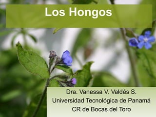 Los Hongos
Dra. Vanessa V. Valdés S.
Universidad Tecnológica de Panamá
CR de Bocas del Toro
 