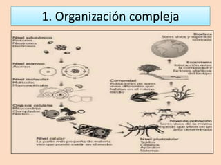 1. Organización compleja