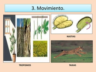 3. Movimiento. NASTIASTROPISMOSTAXIAS