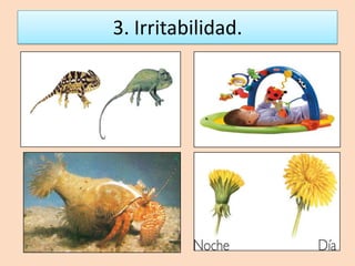 3. Irritabilidad. 