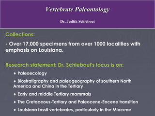 Louisiana rocks and minerals | PPT