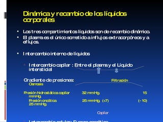Dinámica y recambio de los líquidos corporales Los tres compartimientos líquidos son de recambio dinámico.  El plasma es el único sometido a influjos extracorpóreos y a eflujos.  Intercambio interno de líquidos  Intercambio capilar : Entre el plasma y el Líquido intersticial Gradiente de presiones :  Filtración  Osmosis Presión hidrostática capilar  32 mm Hg.    15 mm Hg. Presión oncótica  25 mm Hg.  (+7)  (- 10)  25 mm Hg.   Capilar Intercambio celular: Fuerza osmótica 