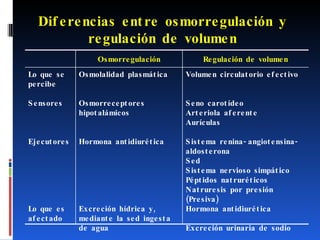 Diferencias entre osmorregulación y regulación de volumen Osmorregulación Regulación de volumen Lo que se percibe Sensores Ejecutores Lo que es afectado Osmolalidad plasmática Osmorreceptores hipotalámicos Hormona antidiurética Excreción hídrica y, mediante la sed ingesta de agua Volumen circulatorio efectivo Seno carotídeo Arteriola aferente Aurículas Sistema renina-angiotensina-aldosterona Sed Sistema nervioso simpático Péptidos natruréticos Natruresis por presión (Presiva) Hormona antidiurética Excreción urinaria de sodio 