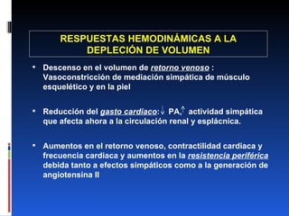 RESPUESTAS HEMODINÁMICAS A LA DEPLECIÓN DE VOLUMEN Descenso en el volumen de  retorno venoso  : Vasoconstricción de mediación simpática de músculo esquelético y en la piel Reducción del  gasto cardiaco :  PA,  actividad simpática que afecta ahora a la circulación renal y esplácnica. Aumentos en el retorno venoso, contractilidad cardiaca y frecuencia cardiaca y aumentos en la  resistencia periférica  debida tanto a efectos simpáticos como a la generación de angiotensina II 