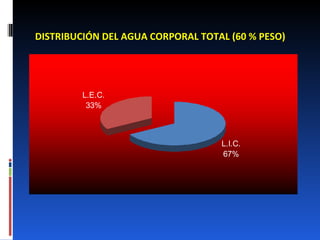 DISTRIBUCIÓN DEL AGUA CORPORAL TOTAL (60 % PESO) 