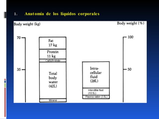 Anatomía de los líquidos corporales 