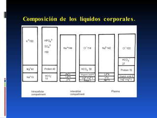 Composición de los líquidos corporales. 