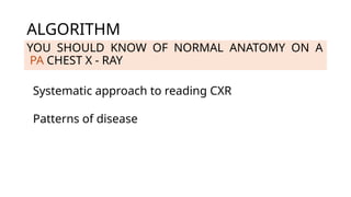 Comprehensive Radiological Diagnosis of Lung Diseases Using Chest X-Ray ...