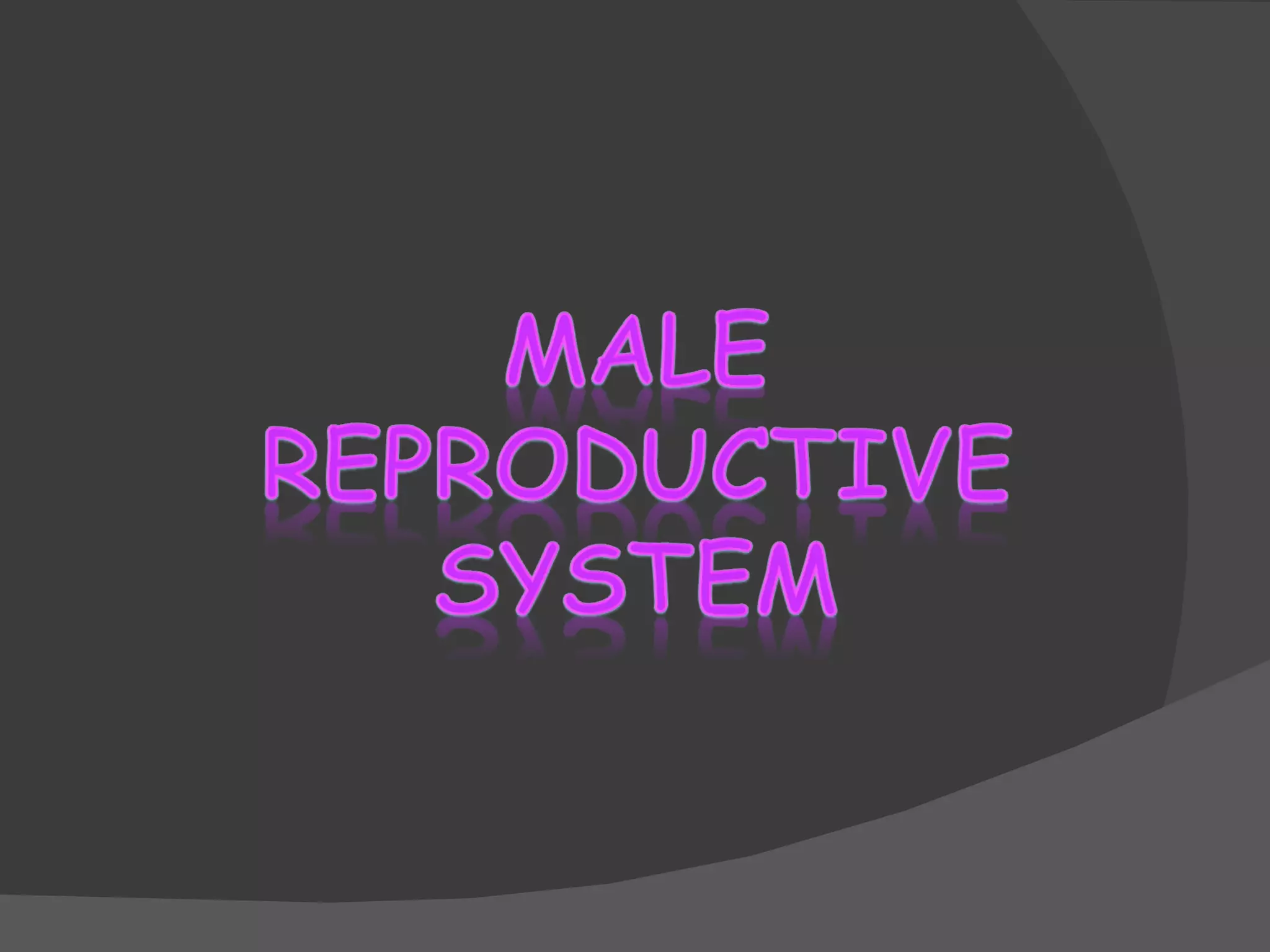 2 Male Reproductive System PPT 2-male-reproductive-system-ppt