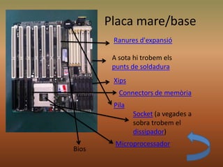 Placa mare/base
Ranures d'expansió
Connectors de memòria
Xips
A sota hi trobem els
punts de soldadura
Pila
Socket (a vegades a
sobra trobem el
dissipador)
Microprocessador
Bios
 