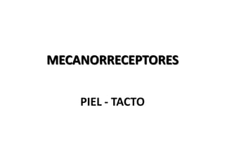 MECANORRECEPTORES


    PIEL - TACTO
 