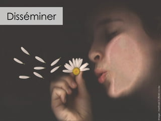 Disséminer
Image
:
martinak15
(flickr)
cc-by
 