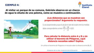 EJEMPLO 4:
Al visitar un parque de su comuna, Gabriela observa en un charco
de agua la silueta de una paloma, como se muestra a continuación.
¿Las distancias que se muestran son
proporcionales? Argumenta tu respuesta.
Para calcular la distancia entre A y B y sin
utilizar el teorema de Pitágoras, ¿qué
distancia necesitas saber? Explica.
 