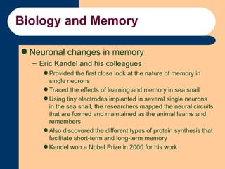 Biology and Memory <ul><li>Neuronal changes in memory </li></ul><ul><ul><li>Eric Kandel and his colleagues </li></ul></ul>...