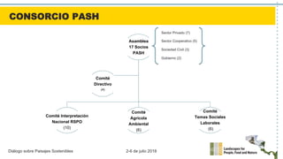 Diálogo sobre Paisajes Sostenibles 2-6 de julio 2018
Asamblea
17 Socios
PASH
Comité Interpretación
Nacional RSPO
(10)
Comité
Agrícola
Ambiental
(6)
Comité
Temas Sociales
Laborales
(6)
Comité
Directivo
(4)
Sector Privado (7)
Sector Cooperativo (5)
Sociedad Civil (3)
Gobierno (2)
CONSORCIO PASH
 