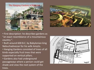 • First description: he describes gardens as
"an exact resemblance of a mountainous
country “.
• Built around 600 B.C. by Babylonian king
Nebuchadnezzar for his wife Amytis.
• Hanging Gardens consisted of trees of all
kinds especially fruit trees that were
supported on vertical pillars.
• Gardens also had underground
passageways where a person could get
shade and view the root system of the
trees.
 