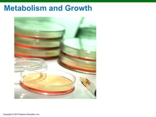 Copyright © 2010 Pearson Education, Inc.
Metabolism and Growth
 