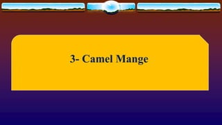 2-Method of Diagnosis of Camel Diseases (Clinical Examination) Prof Dr ...