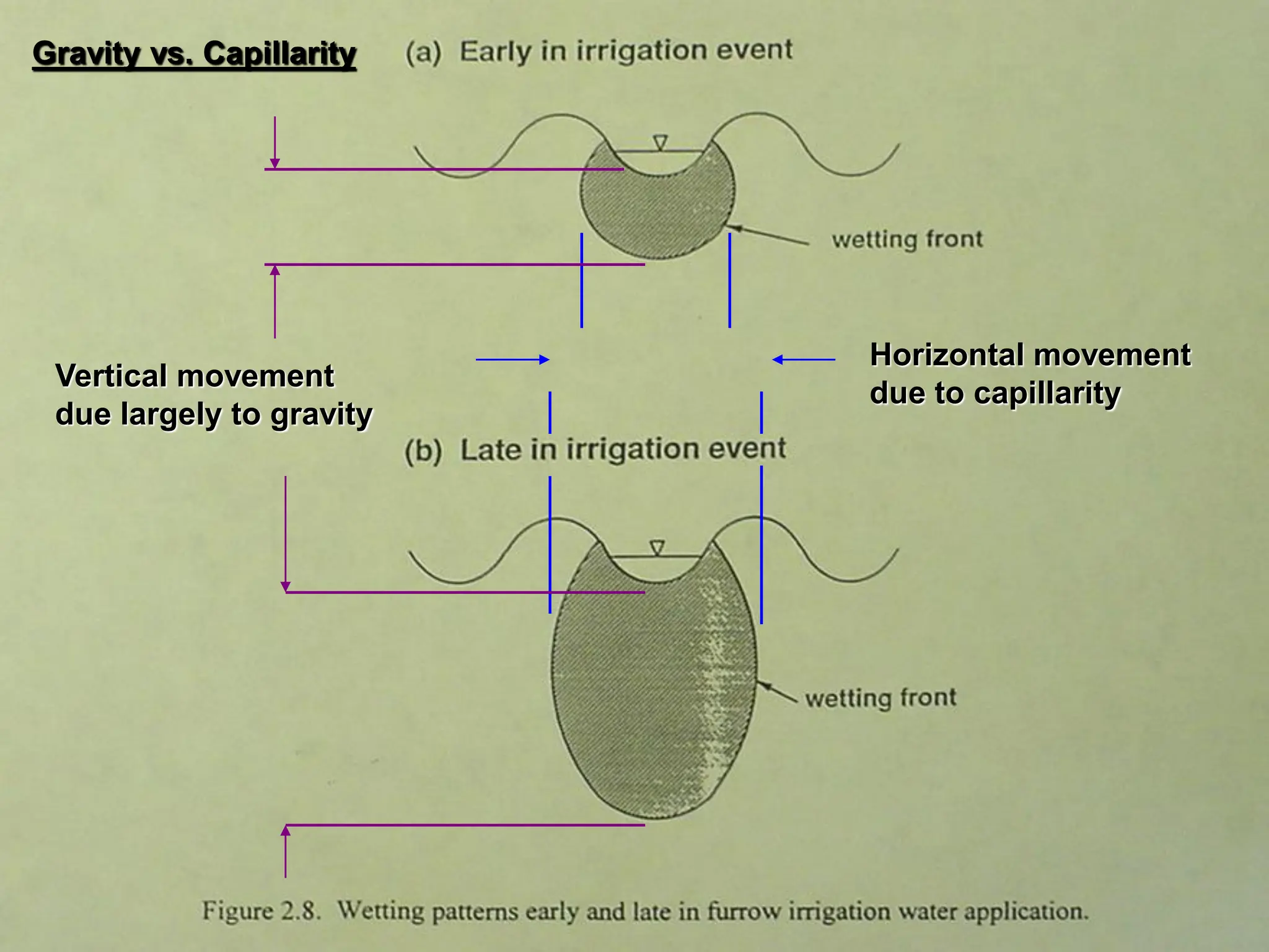 Horizontal movement
due to capillarity
Vertical movement
due largely to gravity
Gravity vs. Capillarity
 