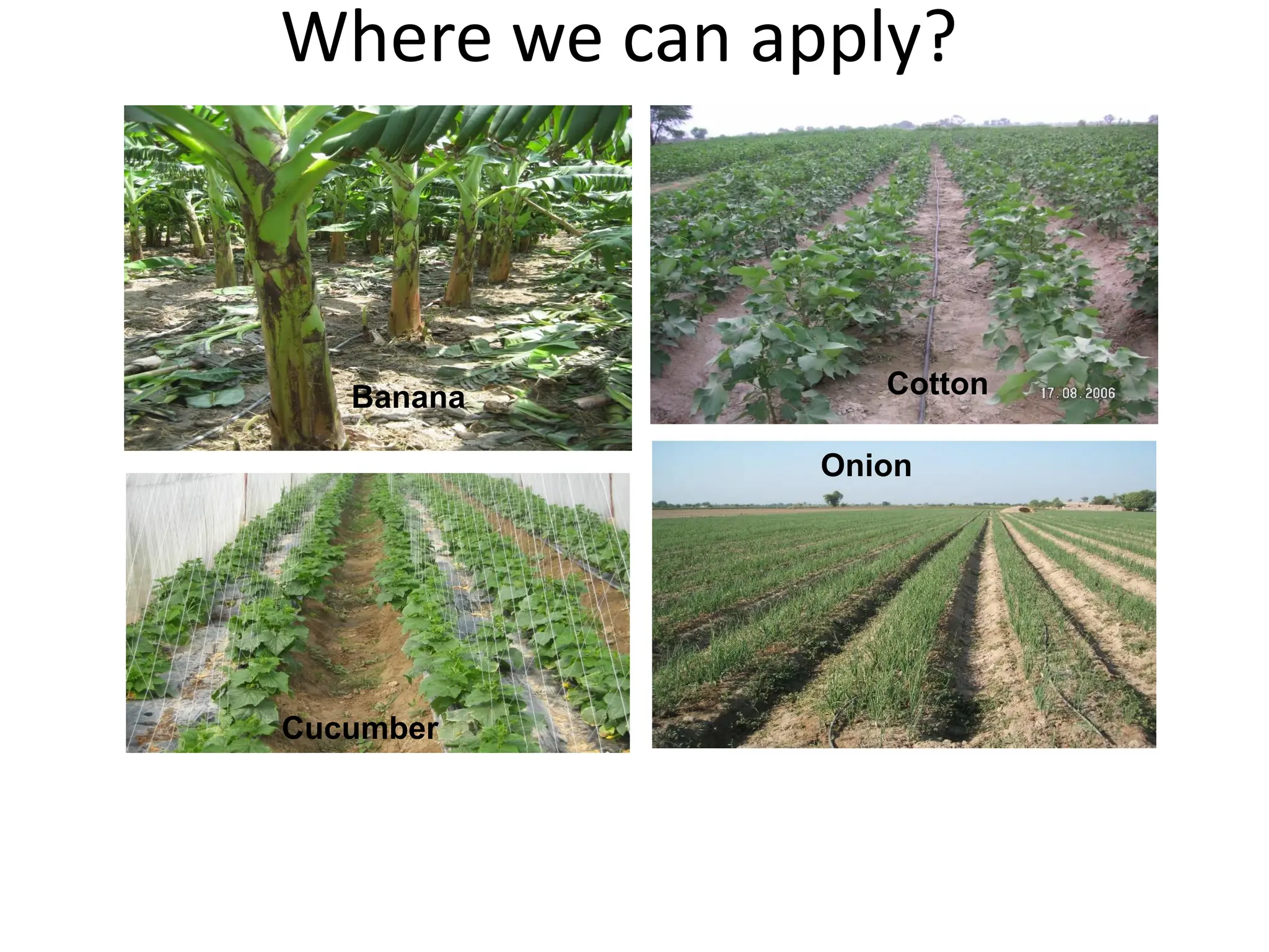 Where we can apply?
Onion
Cotton
Cucumber
Banana
 