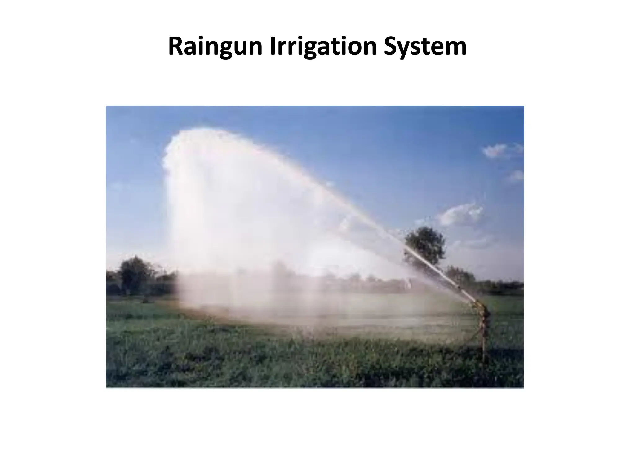Raingun Irrigation System
 