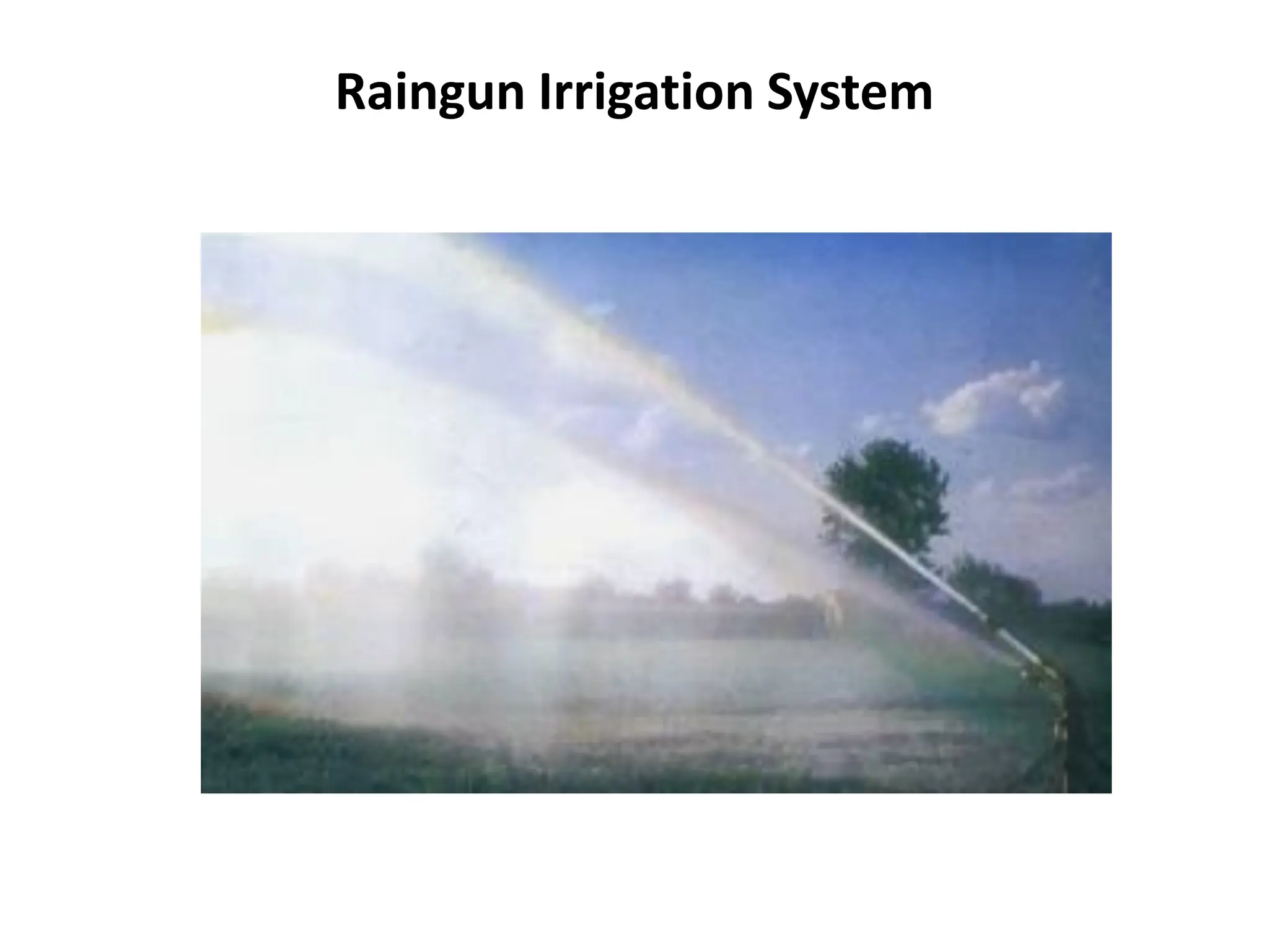 Raingun Irrigation System
 