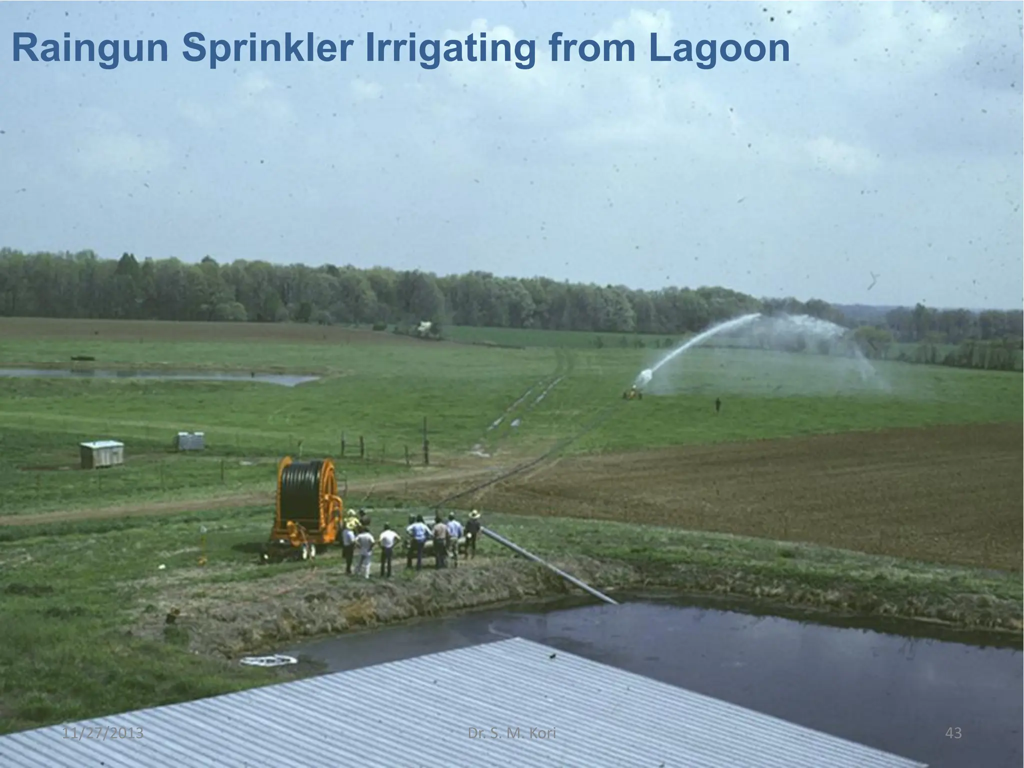 Raingun Sprinkler Irrigating from Lagoon
11/27/2013 43
Dr. S. M. Kori
 