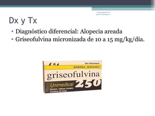 Departamento de
                               Agentes Biológicos



Dx y Tx
• Diagnóstico diferencial: Alopecia areada
• Griseofulvina micronizada de 10 a 15 mg/kg/día.
 