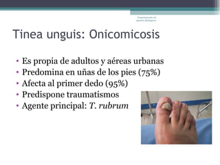 Departamento de
                                 Agentes Biológicos




Tinea unguis: Onicomicosis

•   Es propia de adultos y aéreas urbanas
•   Predomina en uñas de los pies (75%)
•   Afecta al primer dedo (95%)
•   Predispone traumatismos
•   Agente principal: T. rubrum
 