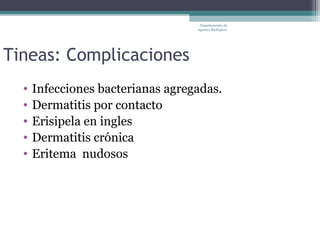 Departamento de
                                   Agentes Biológicos




Tineas: Complicaciones
  •   Infecciones bacterianas agregadas.
  •   Dermatitis por contacto
  •   Erisipela en ingles
  •   Dermatitis crónica
  •   Eritema nudosos
 