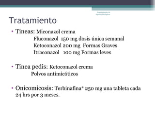 Departamento de
                                   Agentes Biológicos



Tratamiento
• Tineas: Miconazol crema
        Fluconazol 150 mg dosis única semanal
        Ketoconazol 200 mg Formas Graves
        Itraconazol 100 mg Formas leves

• Tinea pedis: Ketoconazol crema
       Polvos antimicóticos

• Onicomicosis: Terbinafina* 250 mg una tableta cada
 24 hrs por 3 meses.
 