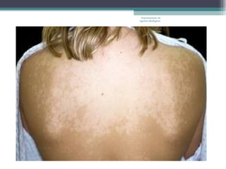 Departamento de
Agentes Biológicos
 