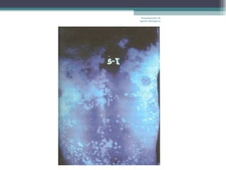 Departamento de
Agentes Biológicos
 