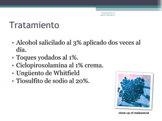 Departamento de
                                Agentes Biológicos




Tratamiento
• Alcohol salicilado al 3% aplicado dos veces al
  día.
• Toques yodados al 1%.
• Ciclopiroxolamina al 1% crema.
• Ungüento de Whitfield
• Tiosulfito de sodio al 20%.
 