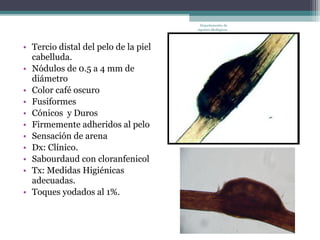 Departamento de
                                      Agentes Biológicos




• Tercio distal del pelo de la piel
  cabelluda.
• Nódulos de 0.5 a 4 mm de
  diámetro
• Color café oscuro
• Fusiformes
• Cónicos y Duros
• Firmemente adheridos al pelo
• Sensación de arena
• Dx: Clínico.
• Sabourdaud con cloranfenicol
• Tx: Medidas Higiénicas
  adecuadas.
• Toques yodados al 1%.
 