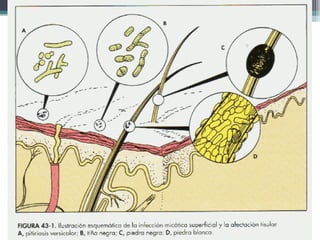 Departamento de
Agentes Biológicos
 