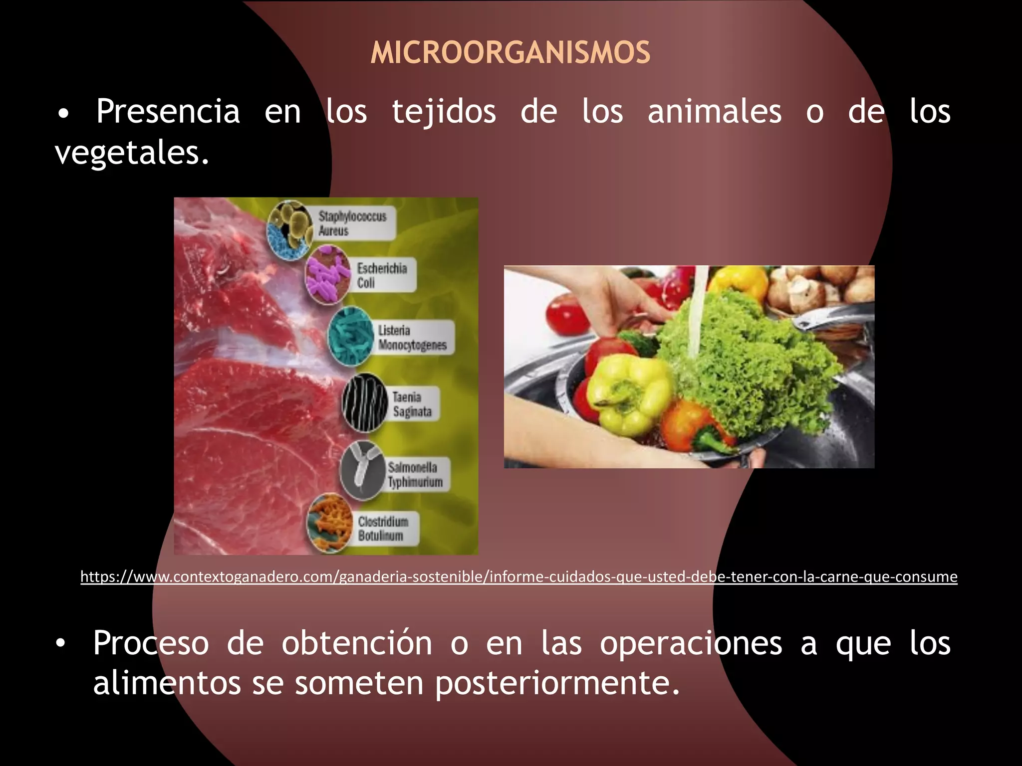 MICROBIOLOGÍA DE LOS ALIMENTOS | PDF