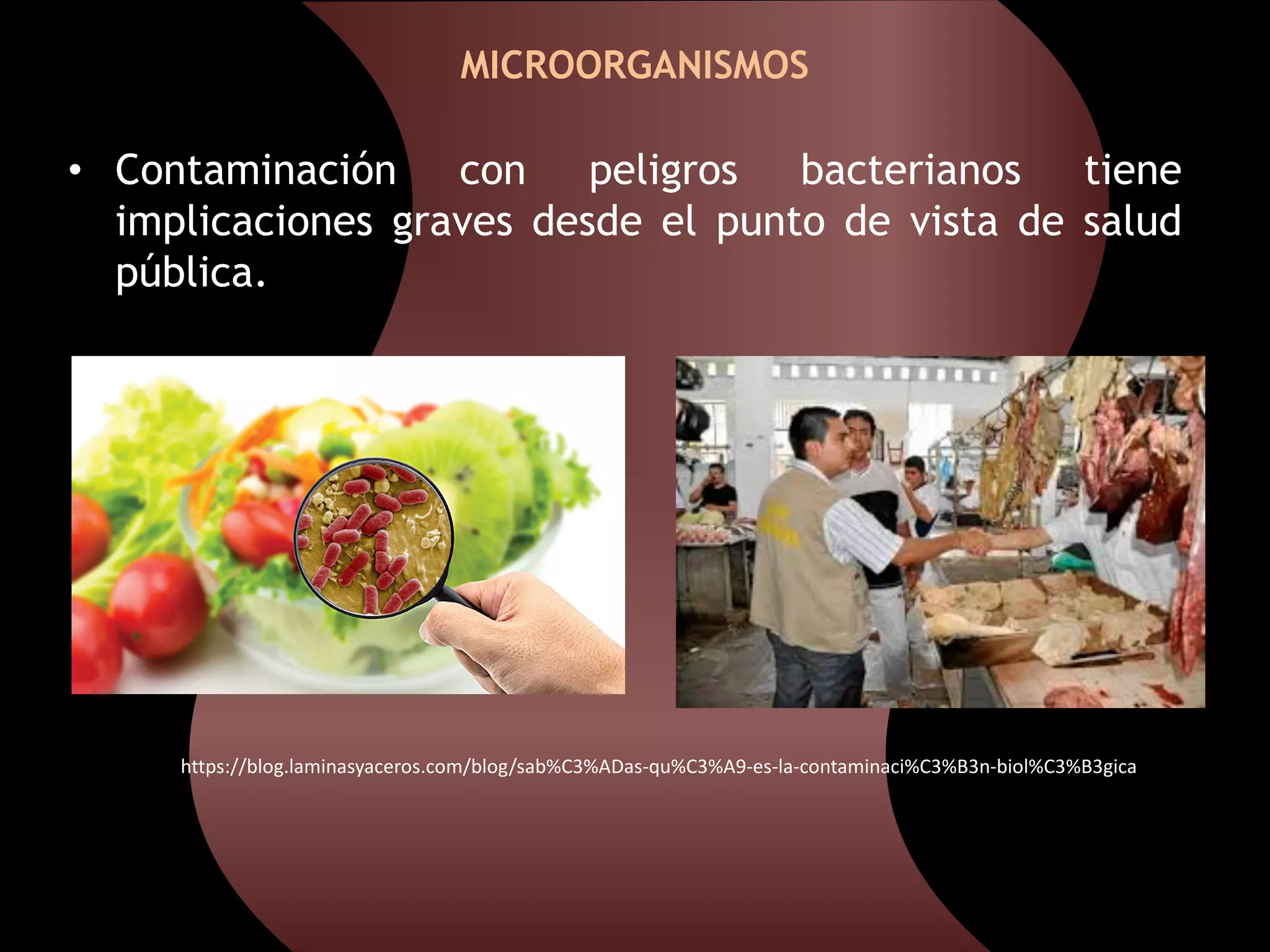 MICROBIOLOGÍA DE LOS ALIMENTOS | PDF