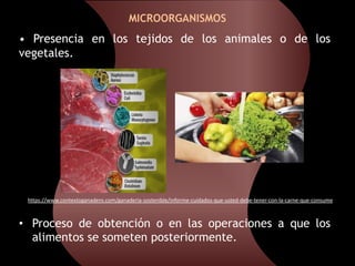MICROBIOLOGÍA DE LOS ALIMENTOS | PDF